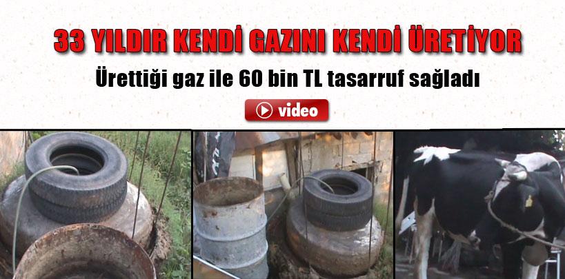 Hayvan gübresinden gaz üretiyor