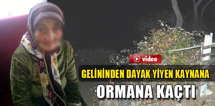 Bolu'da, gelininden dayak yiyen kaynana ormana kaçtı