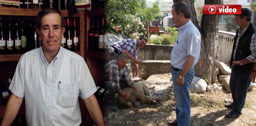 İlk şarap ihracatı için 'kurban' kestiler