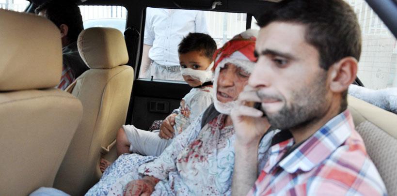 Sokak köpekleri dehşet saçtı: 21 yaralı!