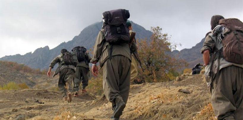 Siirt'te 3 PKK'lı kadın cesedi bulundu