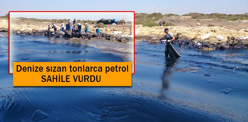 KKTC'de çevre felaketi