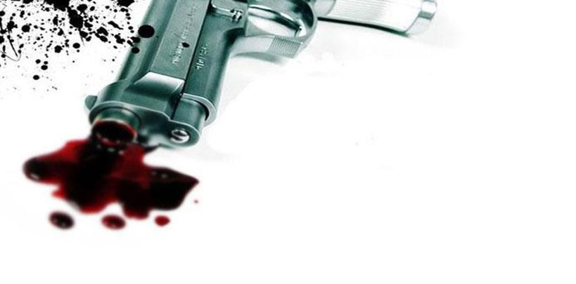 Muş'ta arazi kavgası, 7 ölü