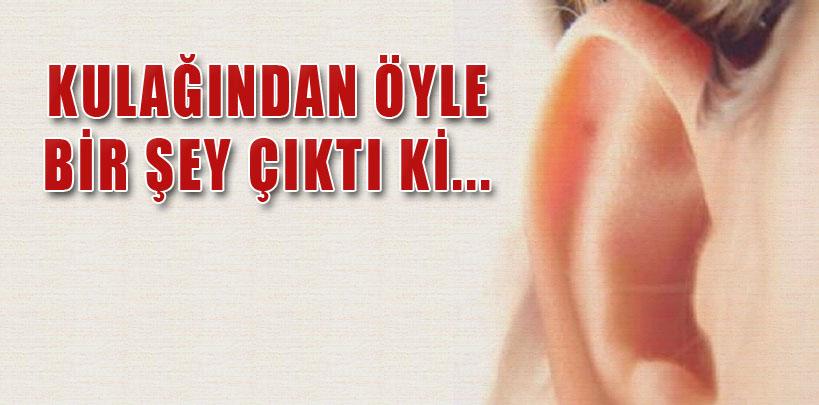 Rochelle Harris'in kulağından 'et yiyen kurt' çıktı