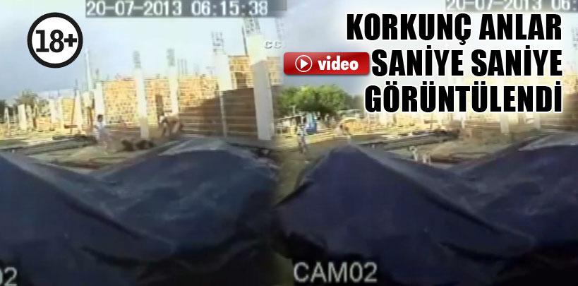 Brezilya'da vahşi cinayet