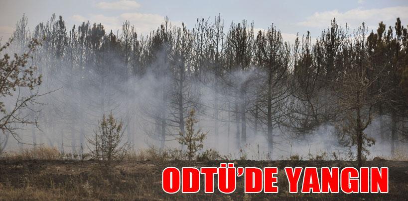 ODTÜ arazisinde yangın çıktı