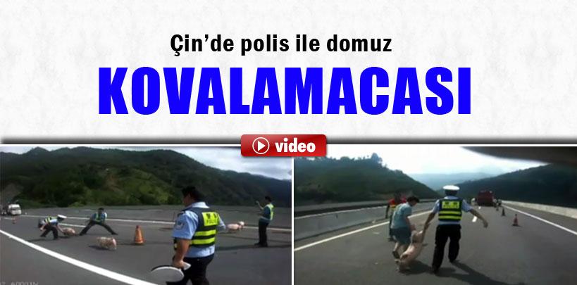 Çin'de polis otoyolda domuz kovaladı