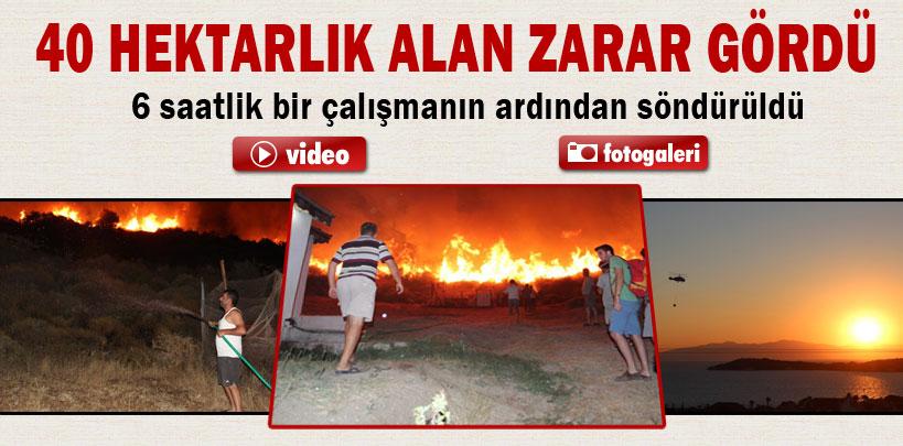 İzmir'de 40 hektarlık alan zarar gördü