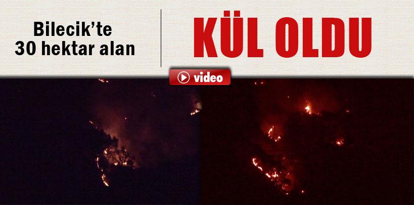 Bilecik'te 30 hektar alan kül oldu