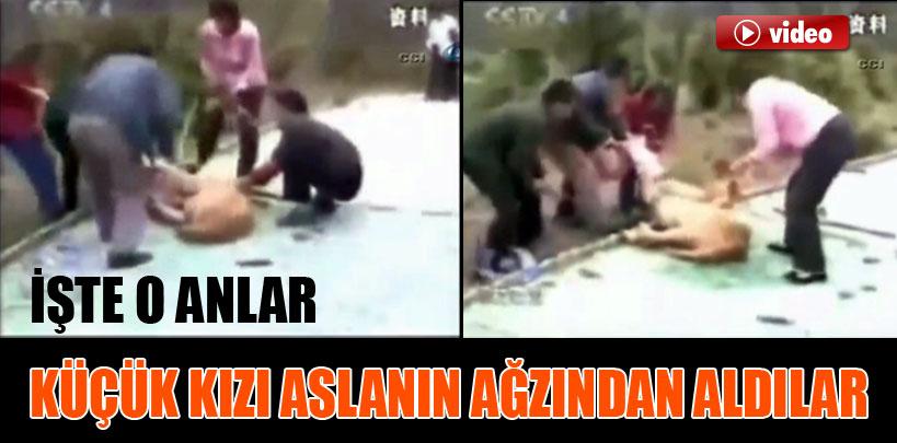 Çin'de hayvanat bahçesinde dehşet anları