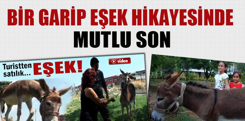 Türkiye güzeli eşeği vefa göstermek için sahiplendiler