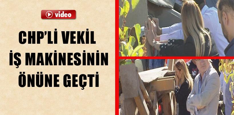 CHP'li vekil ağaç sökülmesini böyle engellemek istedi