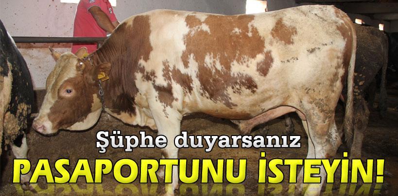 Kurbanlık hayvanlardan şüphe duyarsanız pasaportunu isteyin