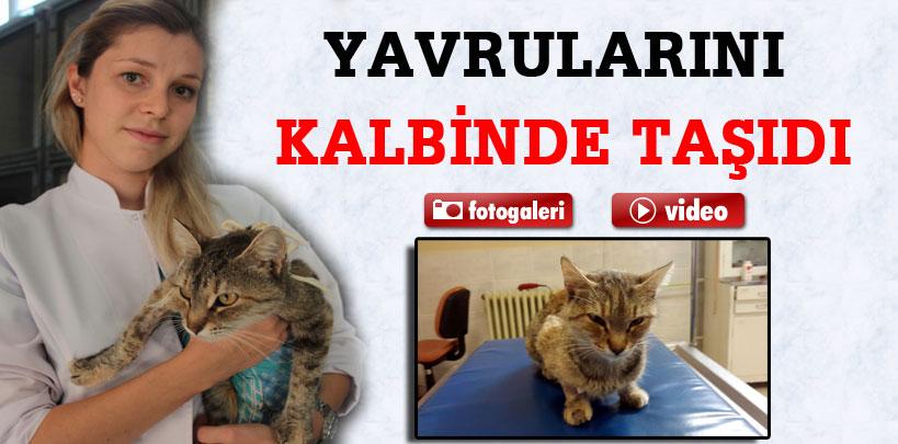 Yavrularını kalbinde büyüttü