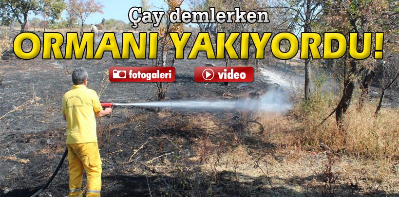 Çay demlemek isterken ormanı yakıyordu