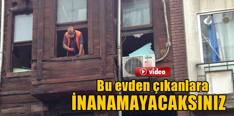 Kadıköy'de, çöp evden hayvanat bahçesi çıktı