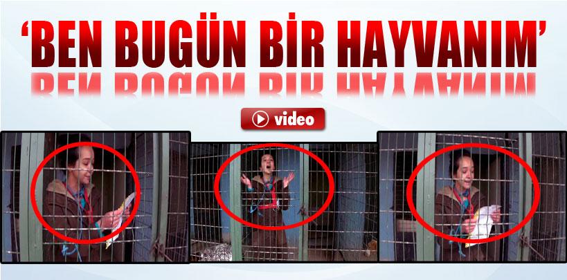 ‘Ben bugün bir hayvanım' diyerek kendini padoğa kapattı
