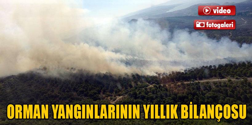 Bir yılda 10 bin 600 hektar alan kül oldu