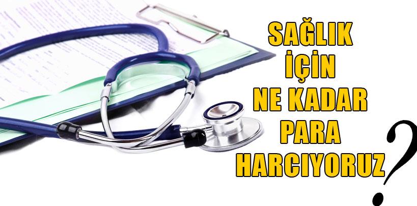 Sağlığa ne kadar para harcıyoruz?
