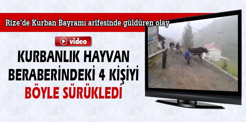 Rize'de kurbanlık hayvan 4 kişiyi böyle sürükledi