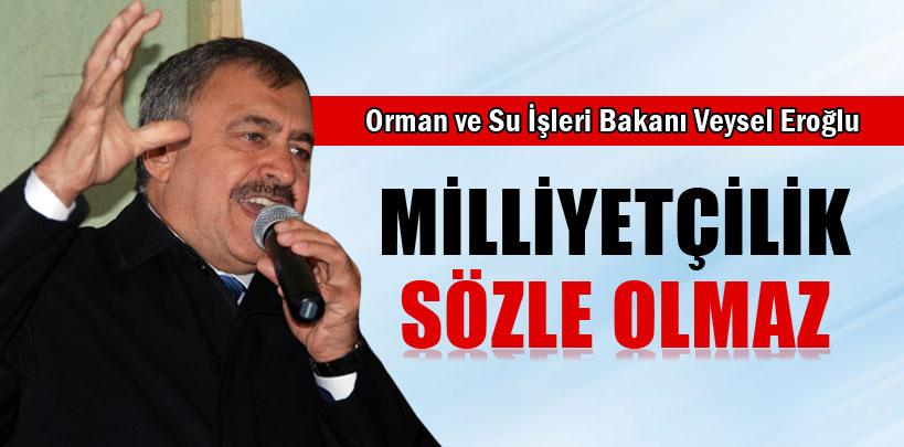 Veysel Eroğlu, 'Milliyetçilik sözle olmaz'